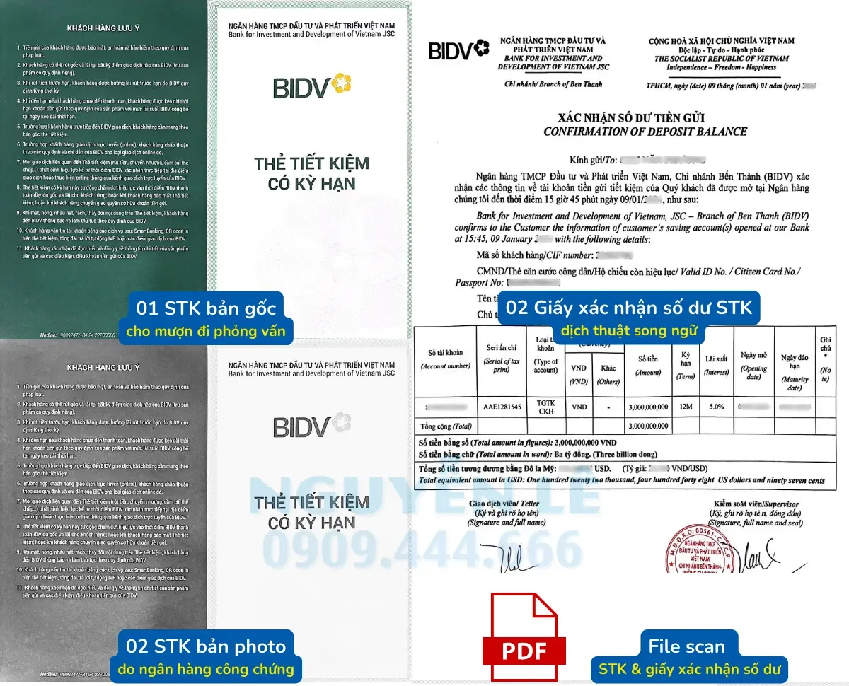 hồ sơ sổ tiết kiệm xin visa mẫu